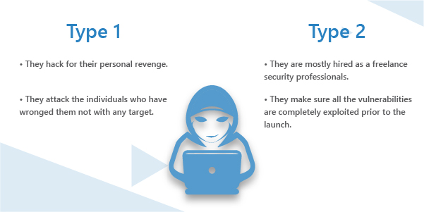 Blue hat hackers