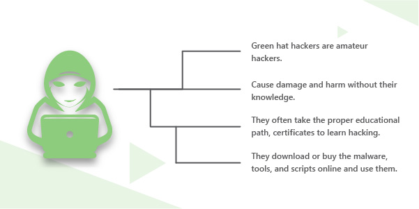 Green hat hackers