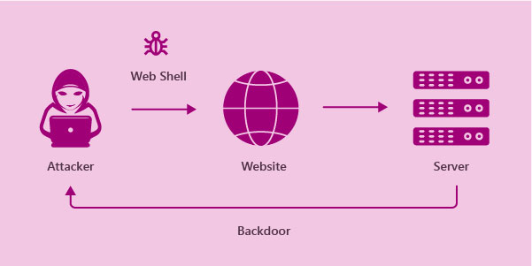 What is web shell? Web shells are commonly used for data theft and drive-by malware installation, but they are also used to establish and organize botnets for distributed denial of service (DDoS) assaults.