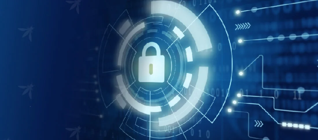 What are OWASP Mobile Top 10?