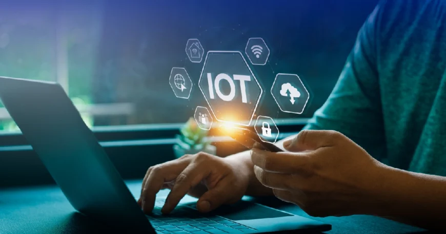 IoT security testing