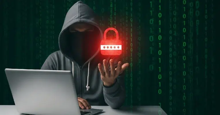 What is Stealc Malware