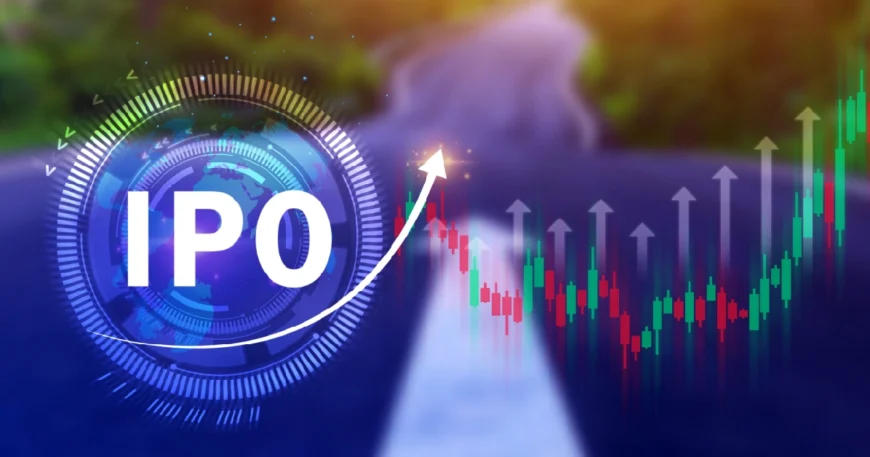 Preparing for an Initial Public Offering