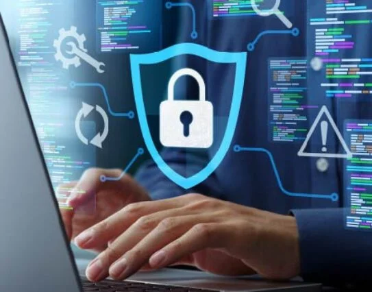 Software Security Testing