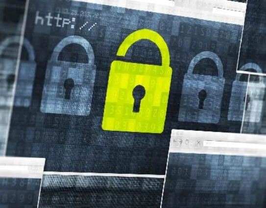 Web Application Security Testing