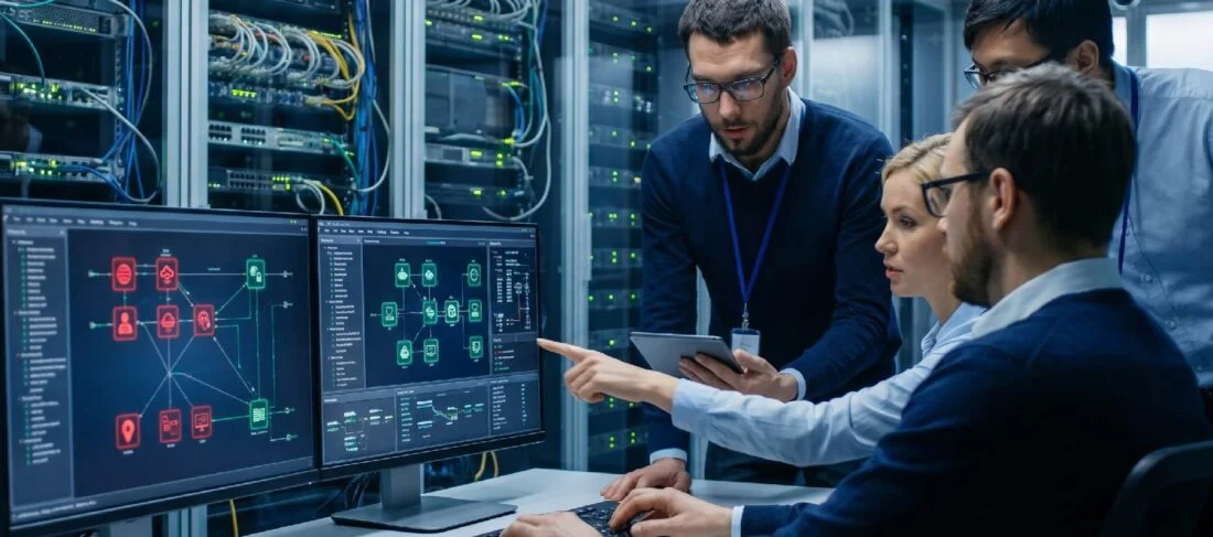What is vulnerability management